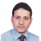 Mohamed El Sayed Hamouda, Free Lance Translator