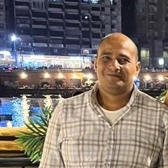 Mahmoud gamal ahmed abdelkader, Auto Parts Sales Expert 