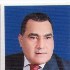 Usama Mohammed Abd Al Moniem Hussein Al Azhari, Procedures and Methods Consultant