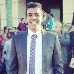 Mohamed Fouad, Testing and Commissioning Engineer