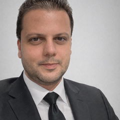 Mohamed Esmail Shoukry Ahmed, ERP manager