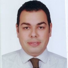 Hussein Elgendy, HR&training executive