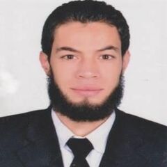 أحمد علاء محمد رزق, Chairman Office Manager