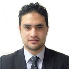Ali Hasaballa, Legal Adviser