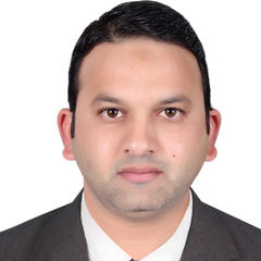 Nasir Hussain Hussain, Sr. Project procurement Engineer