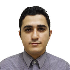 Ahmad Alkayem, System administrator