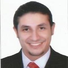 Hossam Basha, Procurement Manager