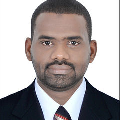 عمرو جعفر عثمان كركساوي, Sales Associate