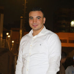 Mahmoud Gamil Abd-Ellatif Kamal, محاسب
