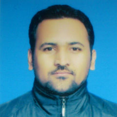 Abid Hussain Shah, Senior SEO Analyst