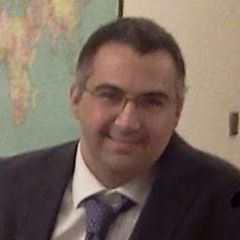 Luigi Stefanizzi, Consultant