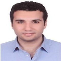 Baher ElGendy, CRM Techno Functional Consultant