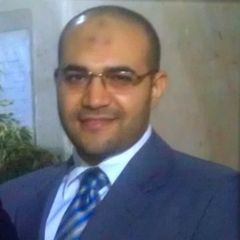 محمد حنفي, Software Developer Team Leader