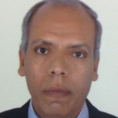 Mahmoud Diab, Food Safety and Quality Lead Auditor and Trainer