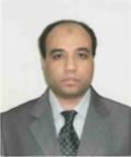 khaled abdel fattah mahmoud, Senior Information Architct