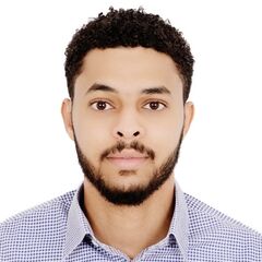 وائل عثمان, information security engineer