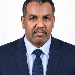 osama gaffer mostafa, Accountant