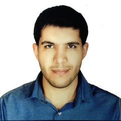 حسين Alhamaly, Software Developer