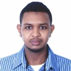 Amr Ahmed, Electrical Inspector