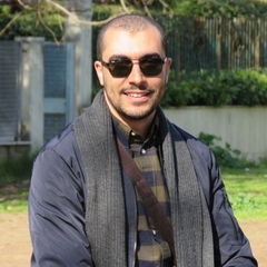 Mostafa Elsayed  Elmasry, Team Leader - Oracle HCM