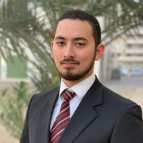 عمر موسى, Property handover Executive