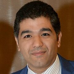 حسام عبد الحليم, Finance Manager