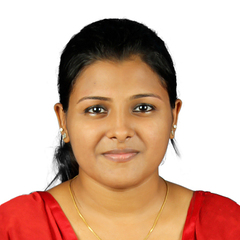 Sona Raj, Credit Controller