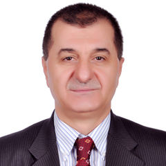 Daoud Abdulnabi, Project manager