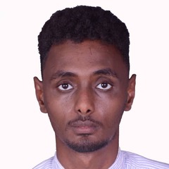 Alsafi Mohamed, Pharmacist