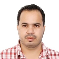 Ziad AbuAmer, Project Manager Assistant