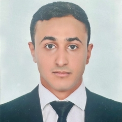 Mohamed Elalfy