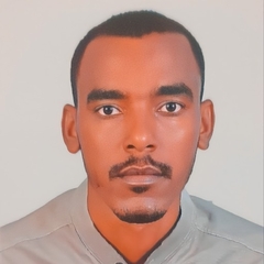 Omer Elhaj Elwidaa