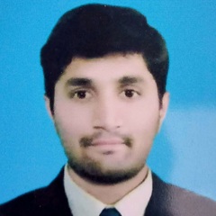 Muhammad Jawad Anwar