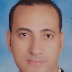 Ibrahem Mohamed Hassan Ibrahem, مدير مكتب فني