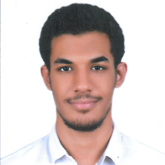 Mohannad Abdelfatah, Software and Hardware Freelance Tester
