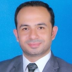Ahmed Okasha Mahmoud , Financial Manager