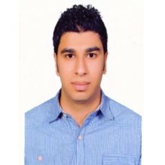 wael mokhtar ali kassem kassem