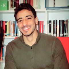 Mahmoud Abdallah, Senior Software Developer 