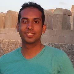 إسلام أبو النجا, Software developer