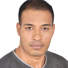 وليد محمد, مستشار قانوني