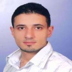 Tarek Almohands, Information System Management