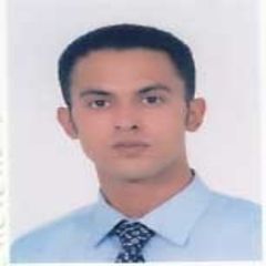 Emad Ahmed El Maraghy, Mechanical Engineering Manager