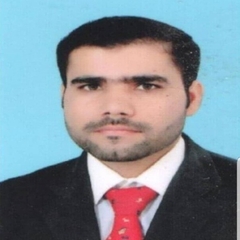 Zuhaib Ali, Manager Accounts