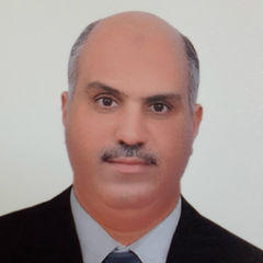 محمود متولي, Chief Financial Officer CFO