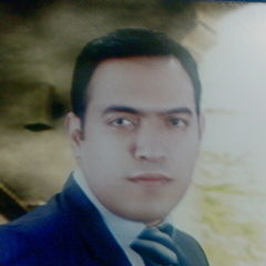 ahmed محمد عبد الحكيم محمد, Salesperson