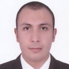 عبدالحليم عبدالحميد عبدالجميد عبدالحميد الشامي, محاسب
