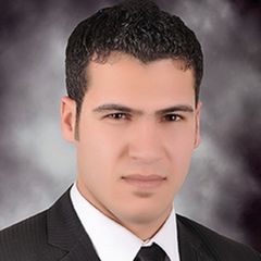 محمد منير اسماعيل بدر, Financial Accountant