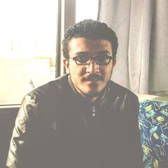 محمد الزينى, Assistant Manager