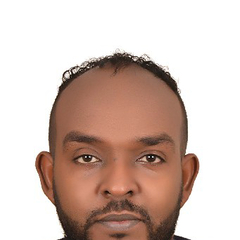 mazen mohammed altahir arman, Project Manager – fireprotection