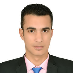 زكريا شحاته, Network engineer